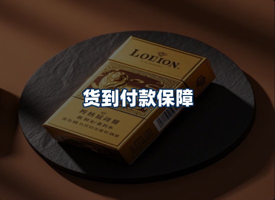 专业团队办公环境